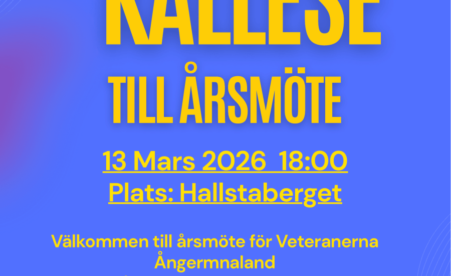 Blue and Pink Modern Meeting Invitation Poster