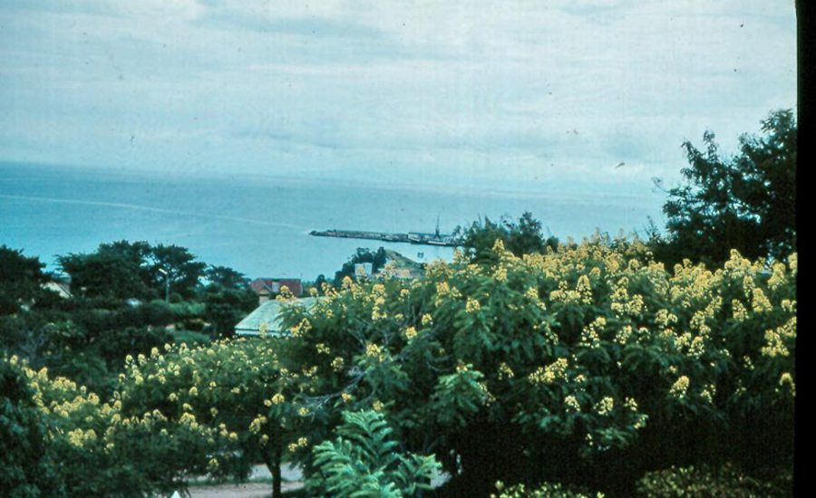 skanna0155_redigerad-1