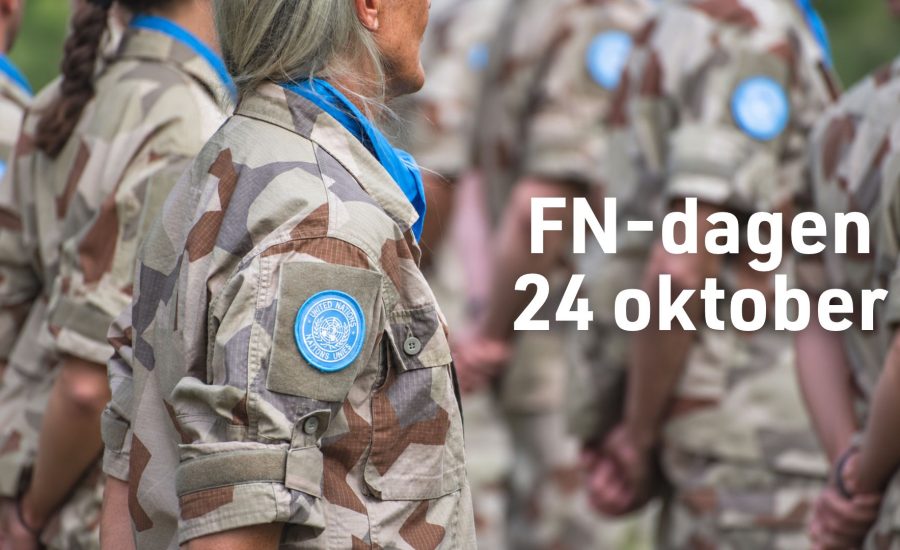 Välkommen att fira FN-dagen lördag den 24 oktober med våra föreningar i hela Sverige. Bild:  Norrbottens reg.